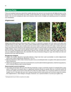 94  Invasive Forbs Forbs are broadleaf herbaceous plants that usually reproduce by seed and can be perennial with flattened stems on the ground and root crowns that persist over winter. Control treatments are usually by 