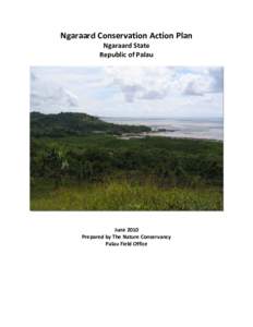 Ngaraard / Babeldaob / Ngkeklau / Ngebuked / Palau / Coral reef / Mangrove / Adaptive management / Seagrass