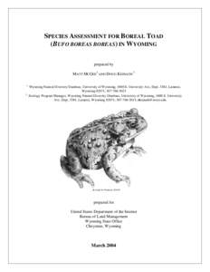 Western toad / Western United States / Black toad / Amargosa toad / Amphibians and reptiles of Wyoming / Amphibians and reptiles of Idaho / Bufo / Fauna of the United States / Boreal Toad