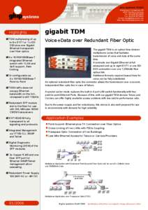 gigabit TDM - Voice+Data over redundant Fiber Optic