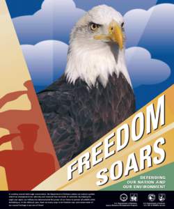 DEFENDING OUR NATION AND OUR ENVIRONMENT In working toward bald eagle conservation, the Department of Defense salutes our nation’s symbol,  In working toward bald eagle conservation, the Department of Defense salutes o