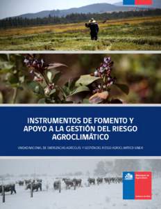 UNIDAD NACIONAL DE EMERGENCIAS AGRÍCOLAS Y GESTIÓN DEL RIESGO AGROCLIMÁTICO (UNEA)  INSTRUMENTOS DE FOMENTO Y APOYO A LA GESTIÓN DEL RIESGO AGROCLIMÁTICO