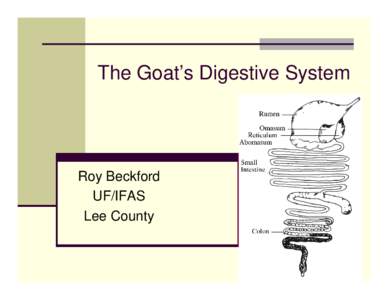 Microsoft PowerPoint - Goats digestive.ppt