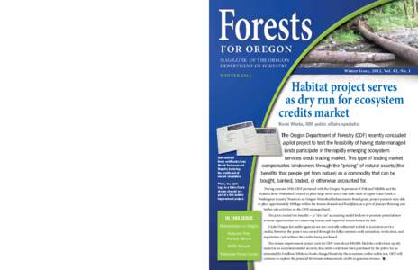 Oregon Department of Forestry / Tillamook State Forest / Gilchrist State Forest / Environment / Tillamook /  Oregon / Reforestation / Oregon / Geography of the United States / Rainforests