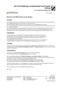 Amt für Ernährung, Landwirtschaft und Forsten Coburg mit Landwirtschaftsschule[removed]Hinweise zum Pflanzenbau aus der Region