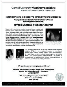 INTERVENTIONAL ENDOSCOPY & INTERVENTIONAL RADIOLOGY Your patients can benefit from the latest advances and the greatest expertise. ECTOPIC URETERS: ENDOSCOPIC REPAIR Ectopic ureters are a common cause of urinary incontin