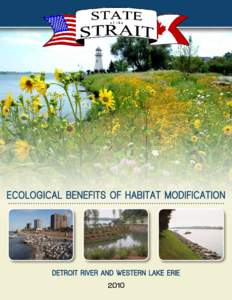 Ecolog ic al B e ne f it s o f H a b i t a t M o d i f i cati on  Detroit River and Western Lake Erie 2010  Cover photos: DTE’s River Rouge Power Plant in Michigan by Chris Lehr/Nativescape LLC; Lower left: Legacy