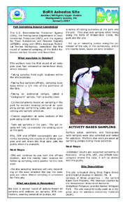 BoRit Asbestos Site - January 2007