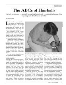 FELINE HEALTH  The ABCs of Hairballs