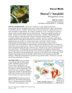 Microsoft Word - hawaii amakihi NAAT final !.doc