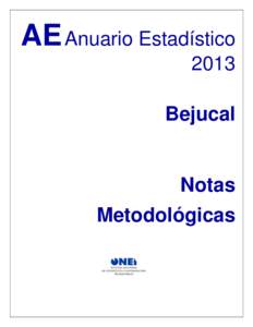 AE Anuario Estadístico 2013 Bejucal Notas Metodológicas