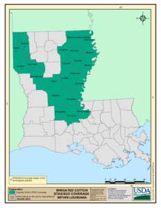 Louisiana / StAX / Southern United States / Acadiana / Avoyelles Parish /  Louisiana