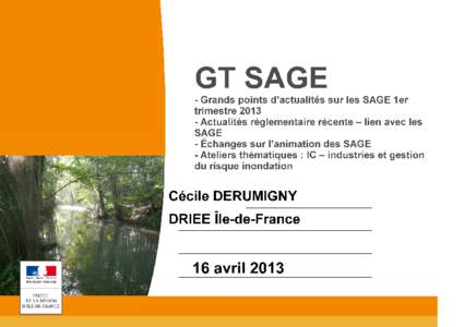 Organisation de la journée Matinée 9h30 Actualités des SAGE Etat d’avancement des SAGE et Gest’eau Suppression de l’article R212-39 SAGE en cours de révision – appréciation juridique