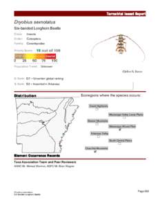Terrestrial Insect Report