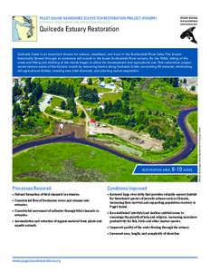 PUGET SOUND NEARSHORE ECOSYSTEM RESTORATION PROJECT (PSNERP) POTENTIAL RESTORATION AND PROTECTION PROJECTS Quilceda Estuary Restoration  RESTORATION AREA: