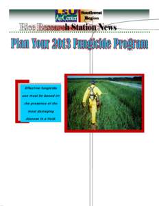 Page 2  Volume 10 Issue 2 The rice crop in southwest Louisiana appears to be off to a good start in spite of cool and wet conditions on the earliest seeded rice. Certainly, the abundant rainfall this spring has