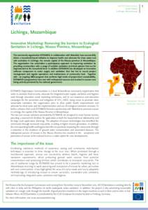 ACCESSanitation CASE STUDY Lichinga, Mozambique 1