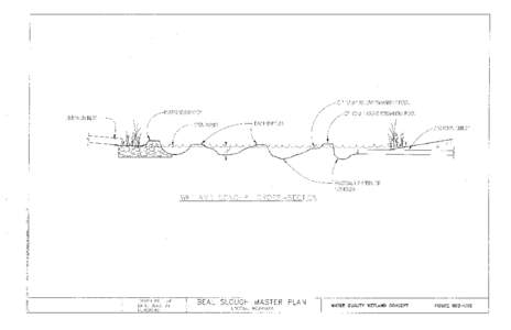 Figure SG1-CD2 - Water Quality Wetland Concept