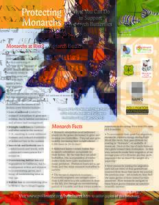 Hexapoda / Lepidoptera / Danaus / Animal migration / Monarch butterfly / Monarch butterfly migration / Monarch / Asclepias / Overwintering / Butterfly / Caterpillar / Monarch butterfly conservation in California