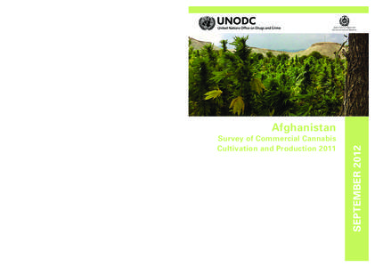 Afghanistan Cannabis Survey 2009