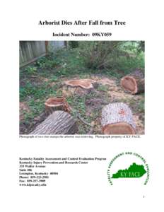 Arborist Dies After Fall from Tree Incident Number: 09KY059 Photograph of two tree stumps the arborist was removing. Photograph property of KY FACE.  Kentucky Fatality Assessment and Control Evaluation Program