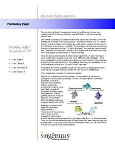 Process Optimization Positioning Paper The real driving force for process optimization is efficiency. Companies understand that if they can function more efficiently, it will improve their bottom line.