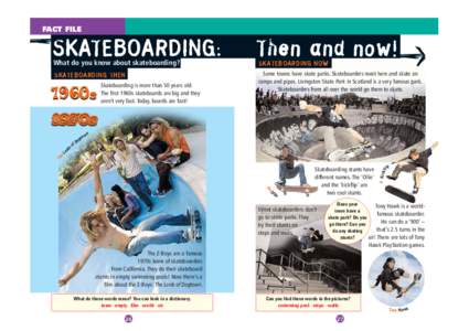 Z-Boys / Tony Hawk / Lords of Dogtown / 900 / Skatepark / Skate punk / Skateboarding styles / Kerry Getz / Skateboarding / Sports / Youth culture