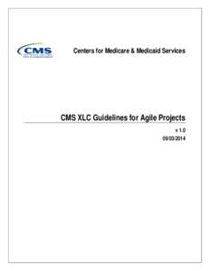 Centers for Medicare & Medicaid Services  CMS XLC Guidelines for Agile Projects v[removed]
