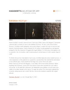 Airbrush / Patrick and Beatrice Haggerty Museum of Art / Canvas / Visual arts / David Levinthal / Acrylic paint