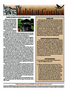 MAKING THE MOST OF YOUR WOODLAND TRACT Sitting on the front porch of their modest weekend get-away cabin listening to the forest songbirds sing and turkeys gobble while