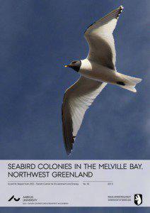 Seabird colonies in the Melville Bay, Northwest Greenland