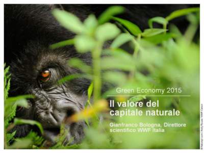 Cosa è il capitale naturale • lI capitale naturale è costituito dai componenti viventi e non viventi degli ecosistemi (suolo, acqua, biodiversità, ecc.) che generano beni e servizi per