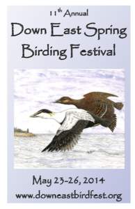 11th Annual  Down East Spring Birding Festival  May 23
