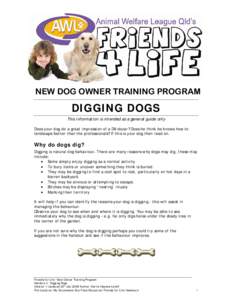 Mutts with Manners Handout: Demolition dogs