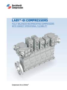 Engineering / Reciprocating compressor / Gas compressor / Piston ring / Internal combustion engine / Rotary screw compressor / Hydrogen compressor / Compressors / Mechanical engineering / Technology