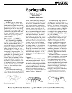 Springtails Phillip E. Sloderbeck Entomologist Southwest Area Ofﬁce  Description