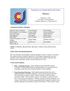 Colorado Commission on Criminal and Juvenile Justice: Minutes (February 11, 2011)