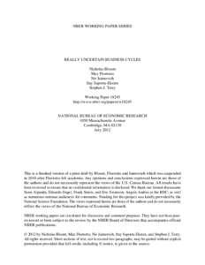 NBER WORKING PAPER SERIES  REALLY UNCERTAIN BUSINESS CYCLES Nicholas Bloom Max Floetotto Nir Jaimovich
