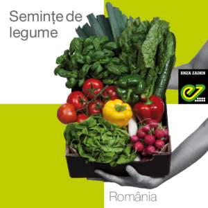 Semințe de legume România  Introducere