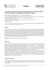 A new deepwater goby of the genus Discordipinna Hoese & Fourmanoir, 1978 (Teleostei: Gobiidae) from Kumejima of the Ryukyus, Japan*