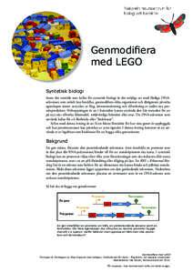 Genmodifiera med LEGO Syntetisk biologi Inom det område som kallas för syntetisk biologi är det möjligt att med färdiga DNAsekvenser, som enkelt kan beställas, genmodifiera olika organismer och därigenom påverka 