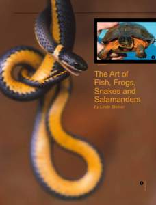 2 photo-Bob Steiner The Art of Fish, Frogs, Snakes and