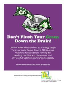 Don’t Flush Your Green Down the Drain! Use hot water wisely and cut your energy usage: Turn your water heater down to 120 degrees, Wait for a full load before running the washing machine and dishwasher, and