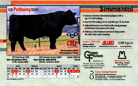 ■ Outcross Purebred Simmental pedigree with a top 1% $API ranking. ■ Top 2% EPD ranking for CE and BW, top 1% for Marb. ■ High performance cow family with strong progeny performance four generations deep. ■ Pathw