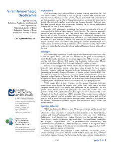 Viral Hemorrhagic Septicemia Egtved Disease,