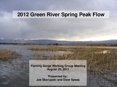 2012 Green River Spring Peak Flow  Flaming Gorge Working Group Meeting August 22, 2011 Presented by: Joe Skorupski and Dave Speas