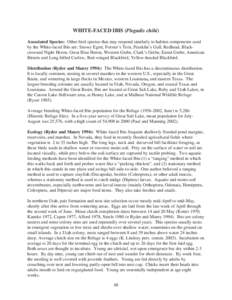 WHITE-FACED IBIS (Plegadis chihi) Associated Species: Other bird species that may respond similarly to habitat components used by the White-faced Ibis are: Snowy Egret, Forster’s Tern, Franklin’s Gull, Redhead, Black