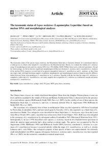 The taxonomic status of Lepus melainus (Lagomorpha: Leporidae) based on nuclear DNA and morphological analyses