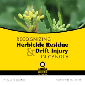 Recogn izing  Herbicide Residue Drift Injury  &