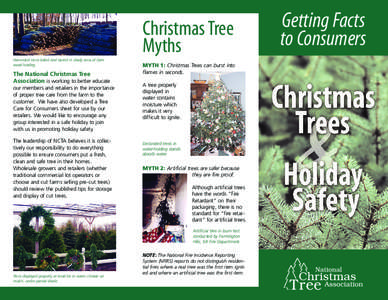 National Christmas Tree / Fire retardant / Tree worship / Tree / Pre-lit tree / Christmas / Artificial Christmas trees / Christmas tree